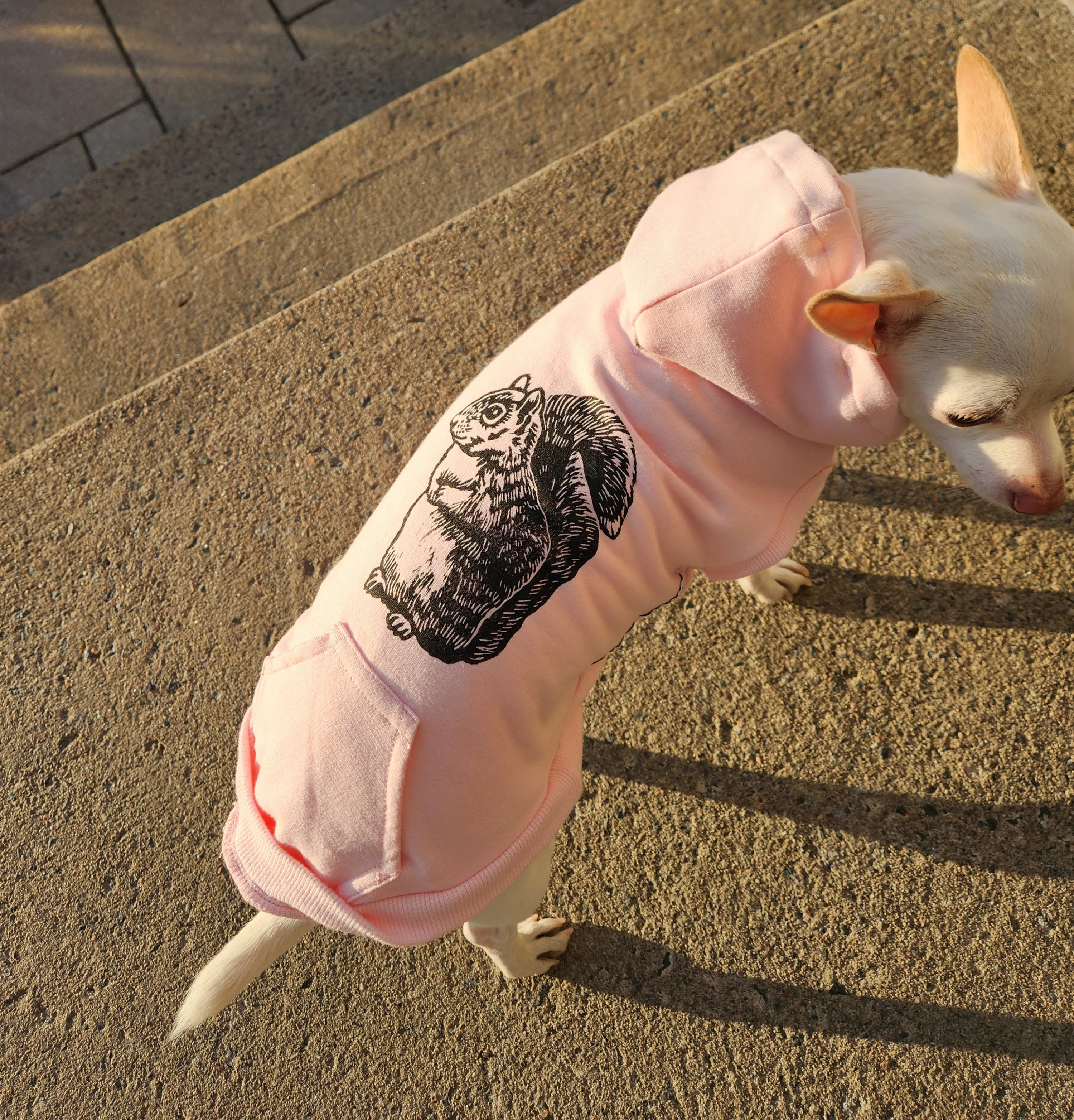 Bamboo Everyday Hoodie for Dogs - Light Heather Grey
