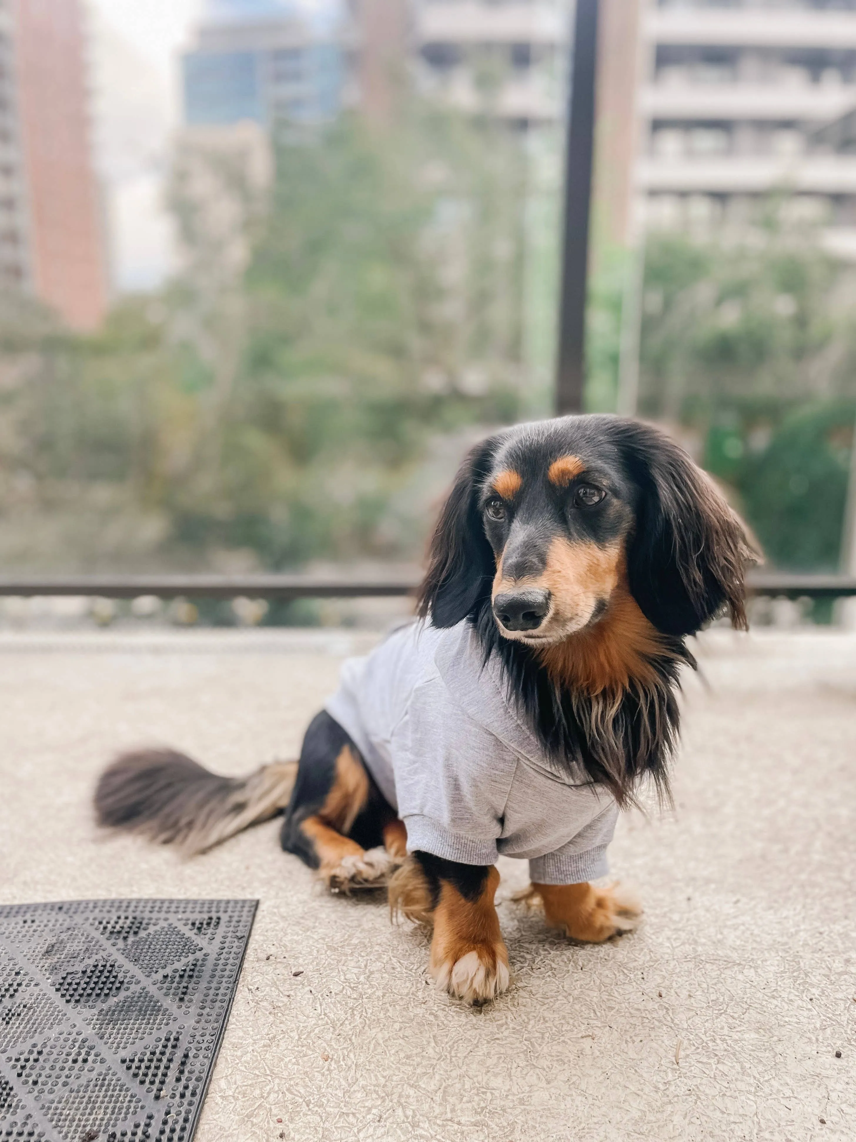 Bamboo Everyday Hoodie for Dogs - Light Heather Grey