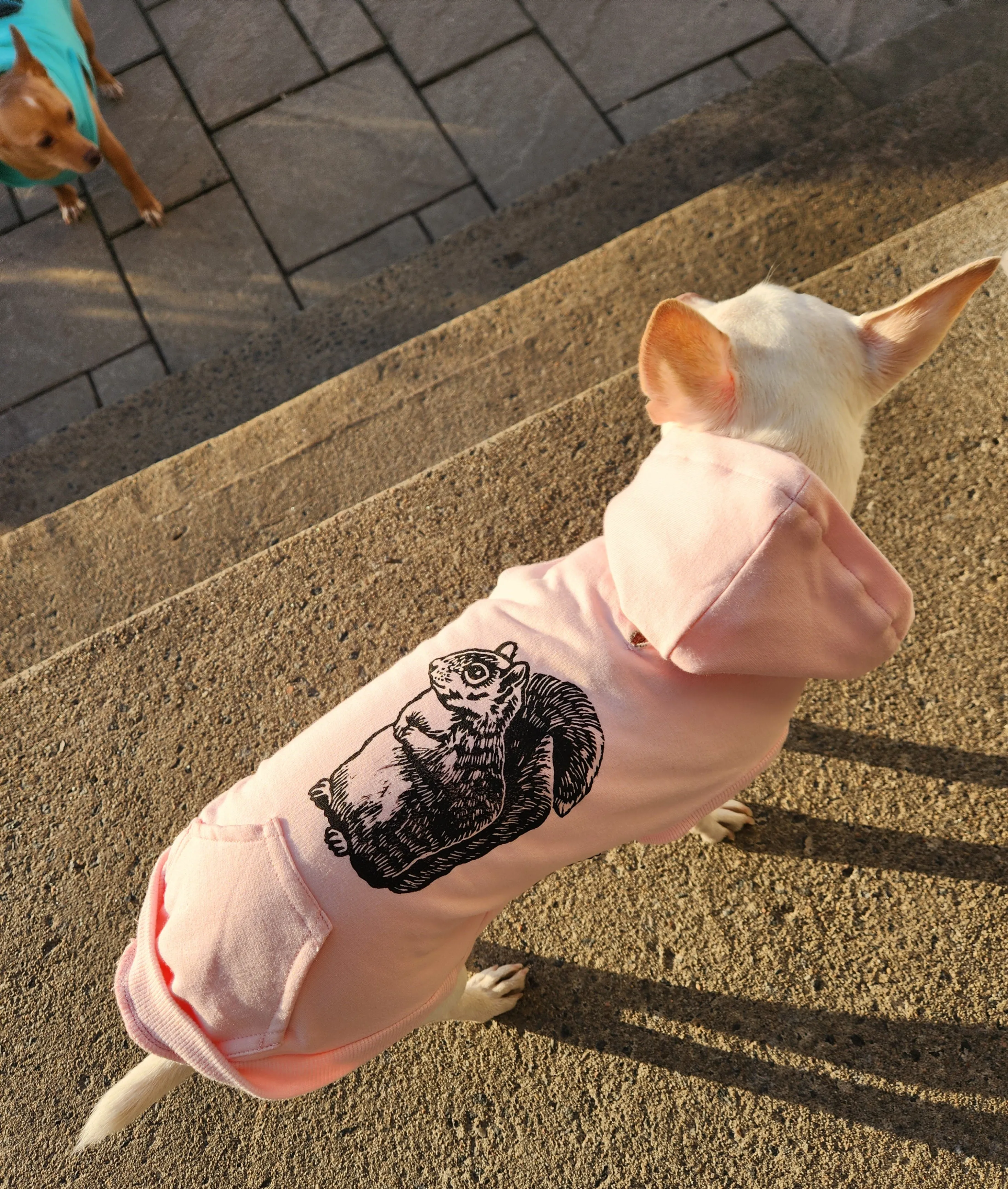 Bamboo Everyday Hoodie for Dogs - Light Heather Grey