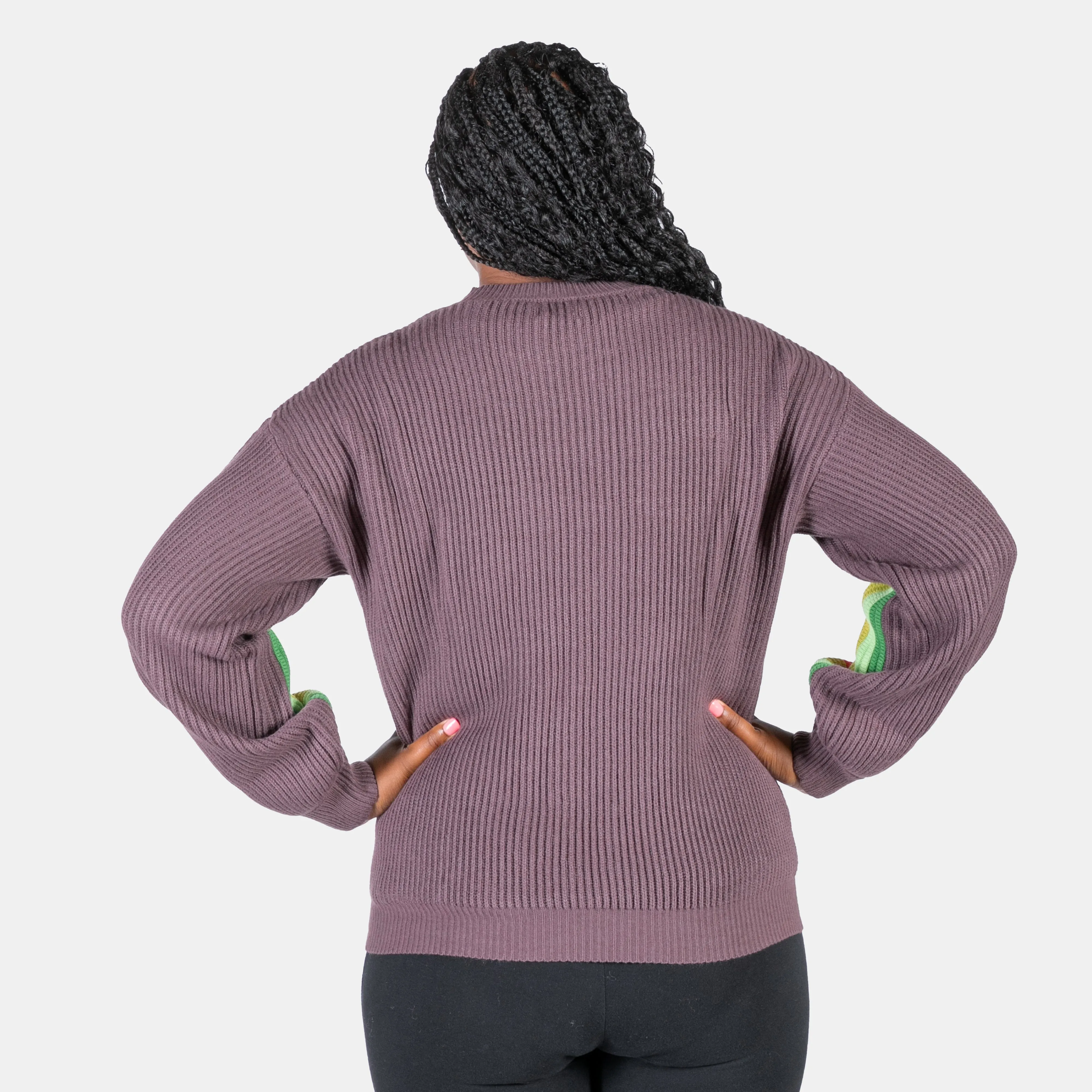 Women's Multicolour Striped Knit Crew Neck Venus Jersey