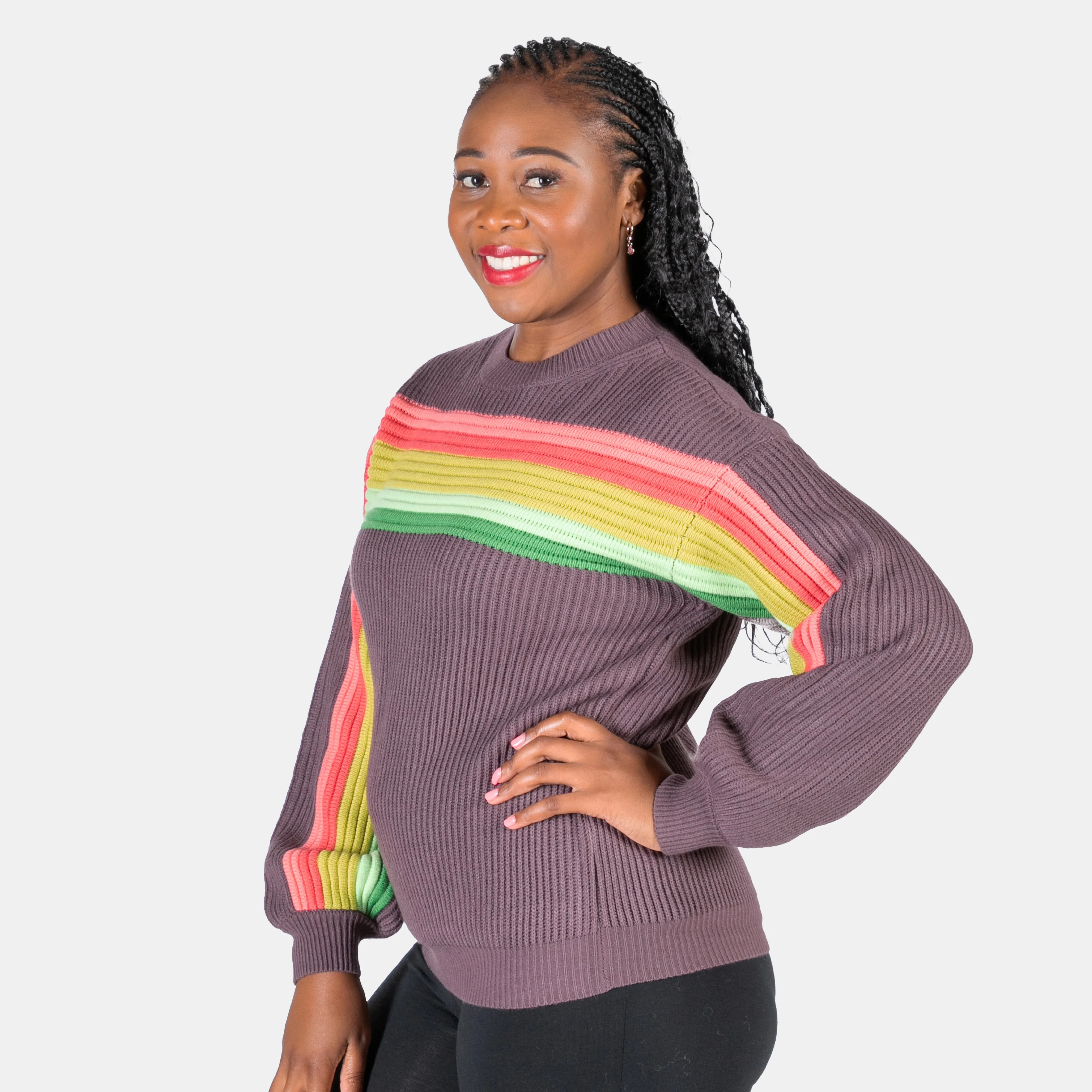 Women's Multicolour Striped Knit Crew Neck Venus Jersey